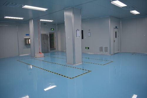 筑牢食品安全防線 堅實車間凈化工程助力膨化食品廠品質升級
